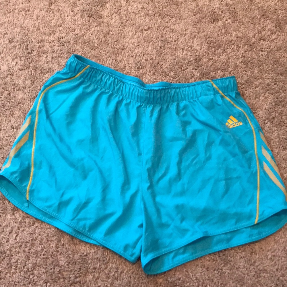 Adidas Dri-fit running shorts.